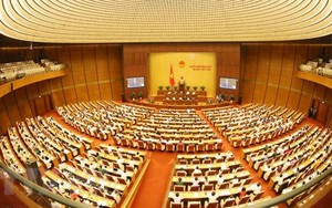 Trực tiếp Quốc hội chất vấn về quản lý đất đai và việc làm