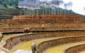 Gặp lại 'huyền thoại' thiết kế cảnh quan Andy Cao