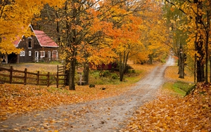 Tới bang này của Mỹ sinh sống, mỗi người sẽ được tặng 10.000 USD