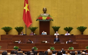 Bộ trưởng Bộ GD&ĐT Phùng Xuân Nhạ trả lời về giải thể đại học, bạo hành học sinh, sinh viên thất nghiệp...