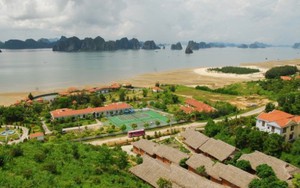 Hãy thể hiện tình yêu nước một cách sáng suốt!