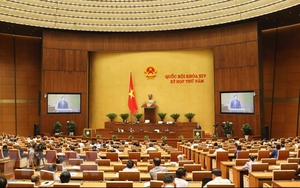 Đại biểu Quốc hội: Lùi thời hạn xem xét Luật đặc khu kinh tế là sáng suốt