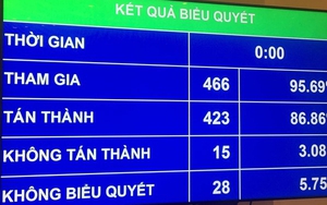 Quốc hội biểu quyết tán thành thông qua Luật An ninh mạng