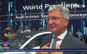 VIDEO Giám đốc hãng xe Audi bị cảnh sát bắt giữ