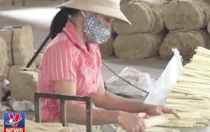 Nghỉ Tết âm lịch 2019 là 9 ngày: Bộ LĐTB&XH chính thức trình chính phủ?