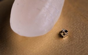 Chế tạo thành công 'máy tính' nhỏ nhất thế giới chỉ bằng hạt gạo