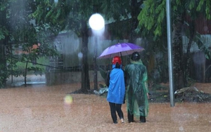 Bộ trưởng Bộ GD&ĐT Phùng Xuân Nhạ gửi thư tới các chủ tịch tỉnh về an toàn của thí sinh trong mưa lũ