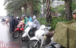 Phụ huynh đứng dưới mưa tầm tã đợi con