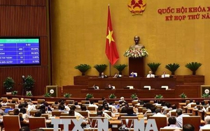 Lệnh của Chủ tịch nước công bố Luật An ninh mạng