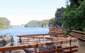 Quảng Ninh lên tiếng về thông tin xẻ núi và bê tông hóa đảo Soi Sim trên vịnh Hạ Long