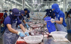 Tác động của cuộc chiến thương mại Mỹ - Trung tới Việt Nam thế nào?