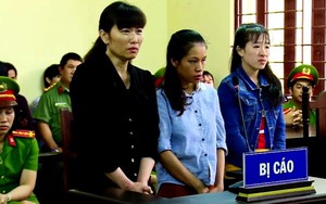 Xét xử vụ bạo hành trẻ em tại cơ sở mầm non tư thục Mầm Xanh