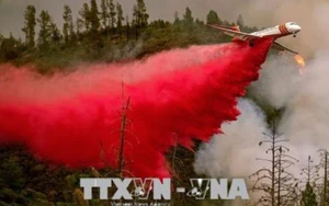 'Bão lửa' ở rừng California, hàng chục nghìn người trốn chạy