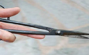 Bắt khẩn cấp đối tượng gây thương tích rồi cố ý giết trẻ em để bịt đầu mối