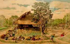 Cuốn sách đặc biệt 'khai quật' một họa sĩ bí ẩn