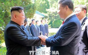 Chủ tịch Trung Quốc Tập Cận Bình chuẩn bị thăm Triều Tiên