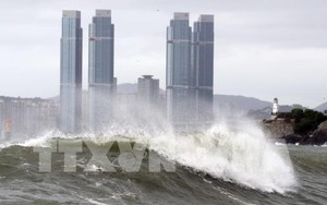 Bão Soulik gây thiệt hại tại Hàn Quốc
