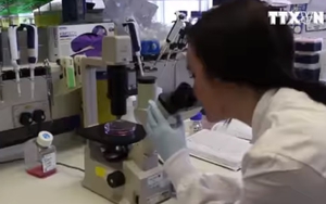 Phát triển loại thuốc mới làm teo khối u ung thư