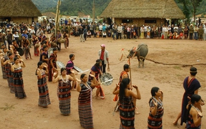 Bộ VHTTDL lên tiếng quanh thông tin về lễ hội đâm trâu ở Huế
