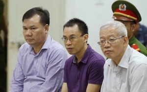 Nguyên Chủ tịch Hội đồng Quản trị Công ty Cổ phần Hóa dầu và Xơ sợi Dầu khí bị phạt 28 năm tù