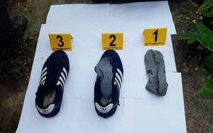 Đã bắt được nghi phạm sát hại 2 vợ chồng ở thành phố Hưng Yên