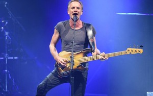 Ca khúc 'Shape Of My Heart': 'Hoa hồng đen' của Sting