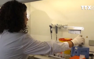 Bùng phát dịch virus Tây sông Nile tại Hy Lạp, 21 người tử vong