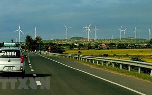 Chính phủ ban hành Quy định mới về giá điện gió tại Việt Nam