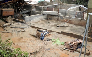 Kiểm điểm, làm rõ trách nhiệm vụ vỡ hồ chứa nước thải Nhà máy DAP Lào Cai