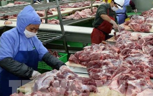 Từ ngày 20/9 sẽ tạm dừng nhập khẩu thịt lợn từ Ba Lan và Hunggary vào Việt Nam