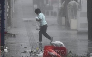Bão Trami gây thiệt hại lớn ở thủ đô Tokyo
