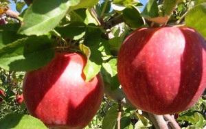 Kinh nghiệm làm giàu