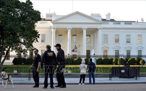 Mỹ bắt giữ nghi phạm gửi bưu kiện chết người tới Lầu Năm góc