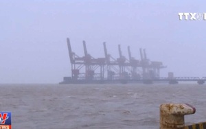 Hàn Quốc hủy hàng trăm chuyến bay do bão Kong Rey