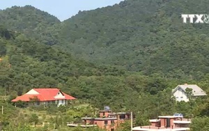 Băm nát rừng phòng hộ để xây biệt thự, lâu đài ở Sóc Sơn