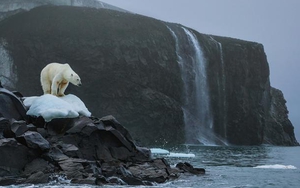Cơ hội mong manh để cứu Trái Đất