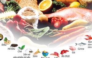 Đồ họa: 15 sản phẩm được đề xuất là nông sản chủ lực quốc gia