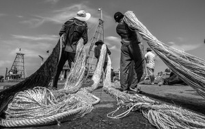 Nhiếp ảnh gia Mỹ Dũng: Nặng lòng với biển