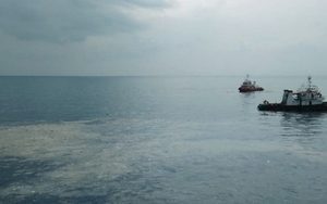 Rơi máy bay tại Indonesia: Không có hành khách người Việt trên chuyến bay JT 610