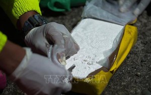 Colombia thu giữ hơn 2,2 tấn cocaine của một nhóm lý khai từ FARC