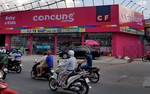 Chi tiết dữ liệu của Concung bị hacker phát tán trên Raidforums