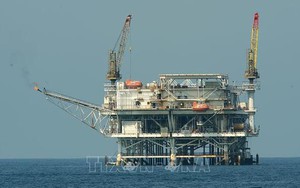 Mỹ không muốn Saudi Arabia và OPEC cắt giảm sản lượng dầu