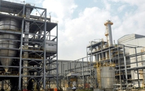 Khởi tố 4 đối tượng liên quan trong Vụ án Ethanol Phú Thọ