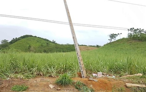 Khởi tố vụ án hình sự 4 người tử vong khi dựng cột viễn thông