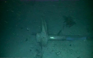 Argentina để quốc tang 3 ngày tưởng nhớ thủy thủ tàu ngầm ARA San Juan