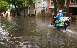 Áp thấp nhiệt đới giật cấp 9 diễn biến phức tạp, yêu cầu chủ động ứng phó