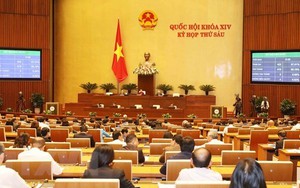 Quốc hội biểu quyết Luật Phòng, chống tham nhũng, Luật Công an nhân dân (sửa đổi)