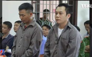 Kháng nghị hủy hai bản án trong vụ lùi xe trên cao tốc