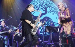 Liveshow - Sự 'trỗi dậy' của các nghệ sĩ dòng nhạc 'chính thống'