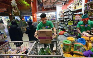 Thư gửi robot Citizen: Ngày nào cũng như... Black Friday!